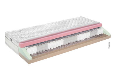 Elastica Viva Spring 350 Wende