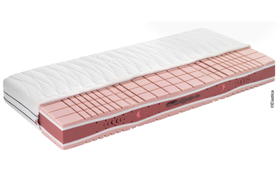 Matratzen - Elastica  Redmoon Genesis 23