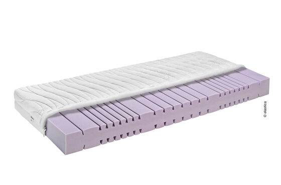 Elastica Ergonomic 21