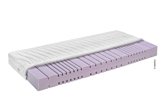 Elastica Ergonomic 19