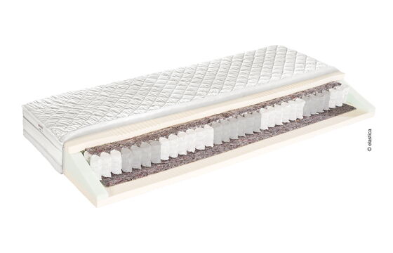 Elastica Viva Spring 330 