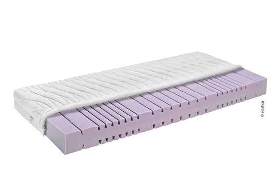 Elastica Ergonomic 21