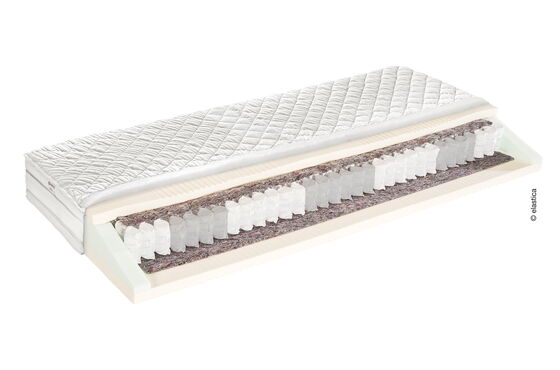 Elastica Viva Spring 330 